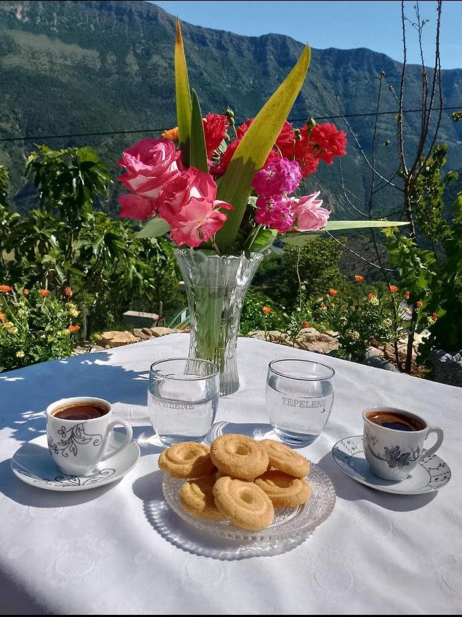 Villa Goliku Pestani Εξωτερικό φωτογραφία