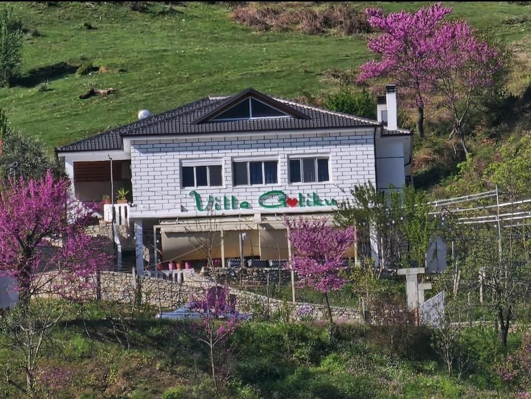 Villa Goliku Pestani Εξωτερικό φωτογραφία